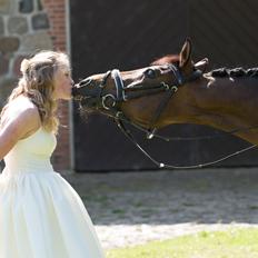 Welsh Partbred (Sec F) Groeze´s Josina