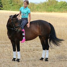 Anden særlig race Vestergaardens Malou