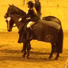 Anden særlig race Vestergaardens Malou