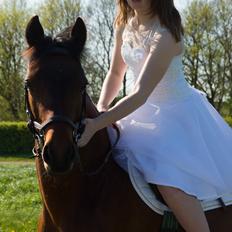 Connemara Bech's brighty