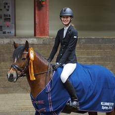 Welsh Pony af Cob-type (sec C) Gribsvads Lady Seventy