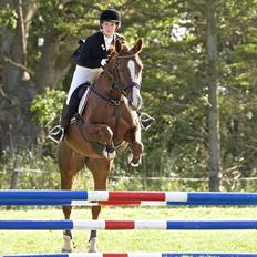 Anden særlig race Flike