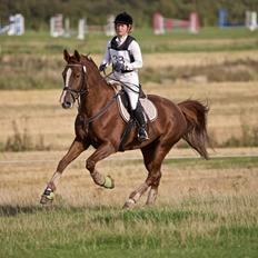 Anden særlig race Flike