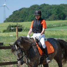 Anden særlig race Wild one