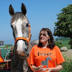 Anden særlig race Wild one