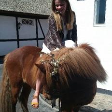 Islænder Elva fra Langtved