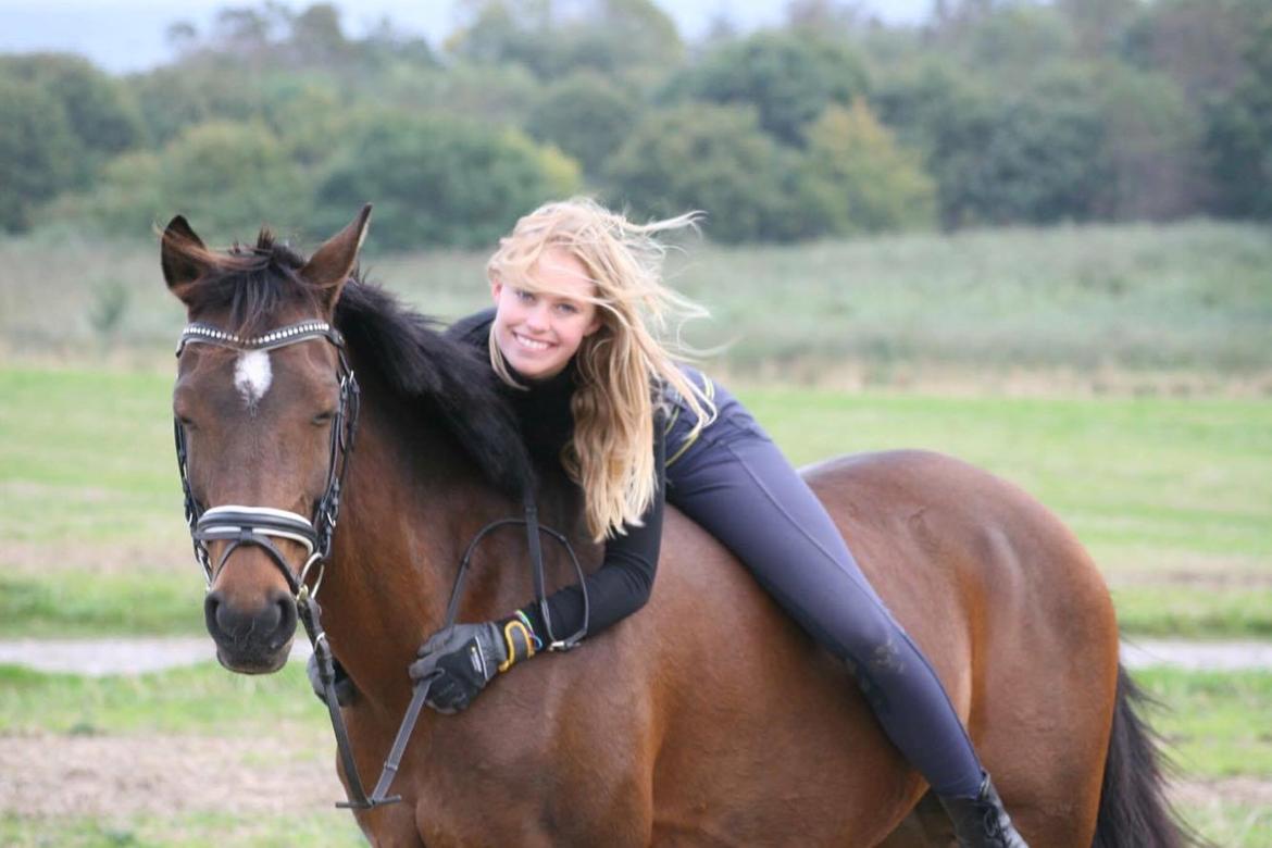 Welsh Partbred (Sec F) Groeze´s Josina billede 14