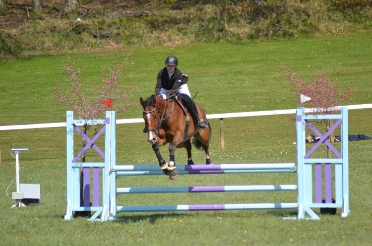 Dansk Varmblod HOLMGÅRDS QUILET billede 17