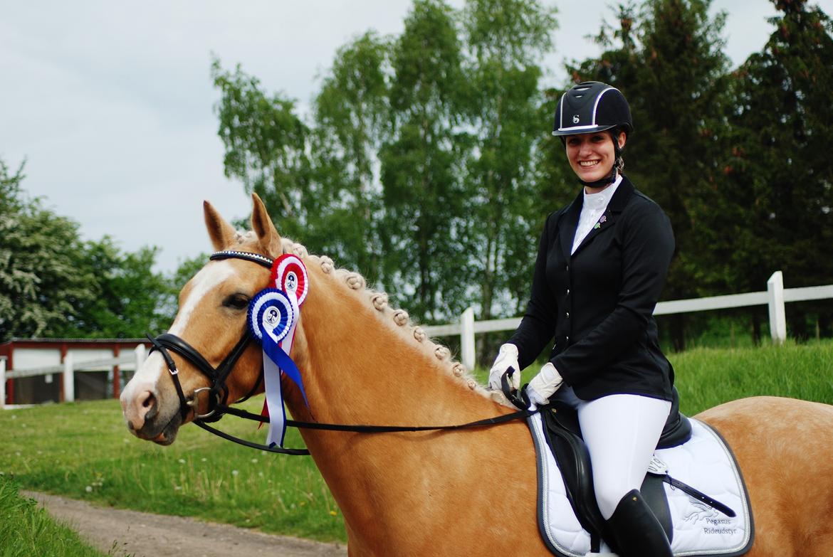 Palomino Kjærgaards Golden Champ - VELKOMMEN TIL CHAMPS PROFIL billede 5