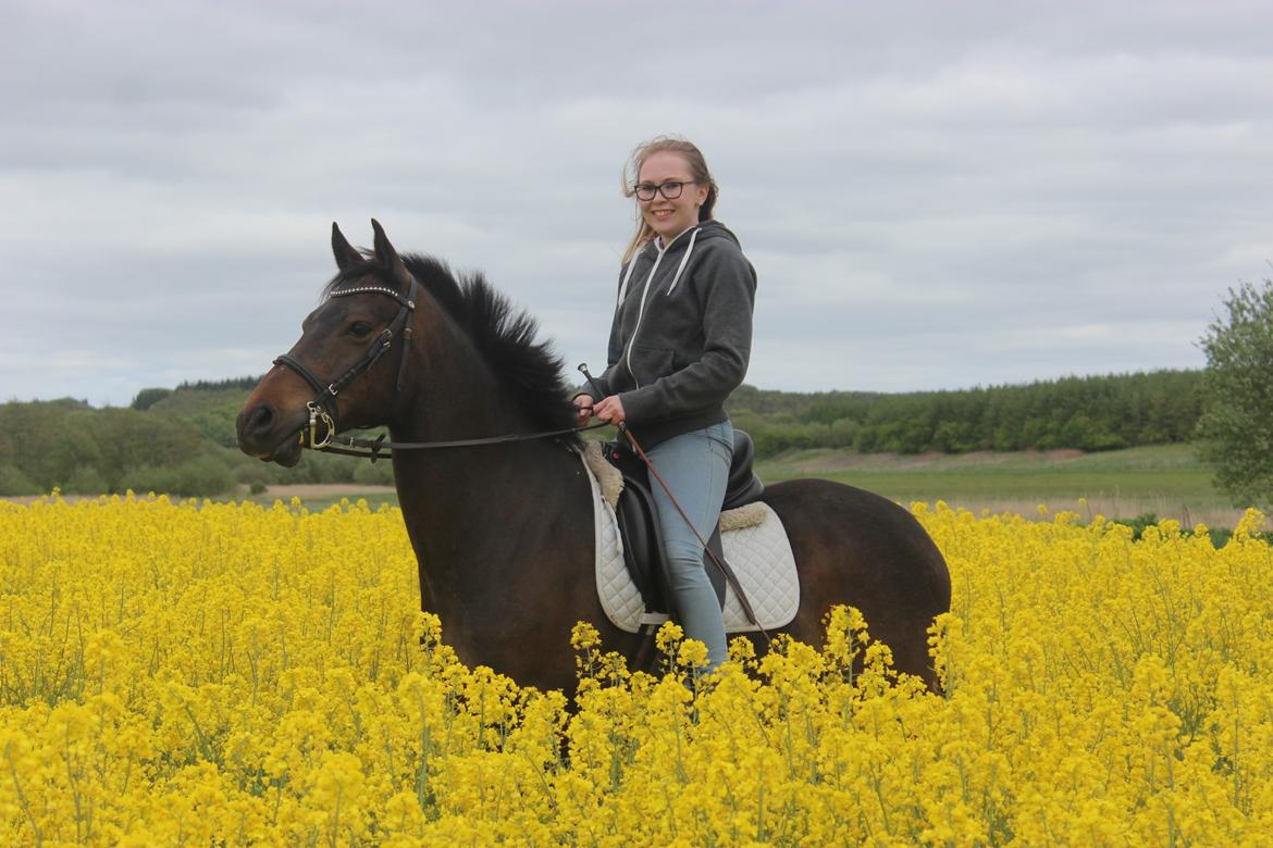 New Forest Skovens Micon  - Maj | Jeg kommer sådan til at savne dig..♥. billede 20