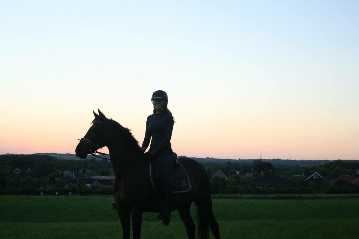 Welsh Partbred (Sec F) Groeze´s Josina billede 18