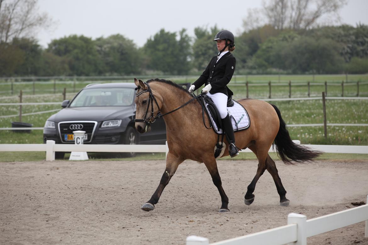 Connemara Skærgårdens Marvelous Night - Sydhavscup 2016, LA1 billede 13