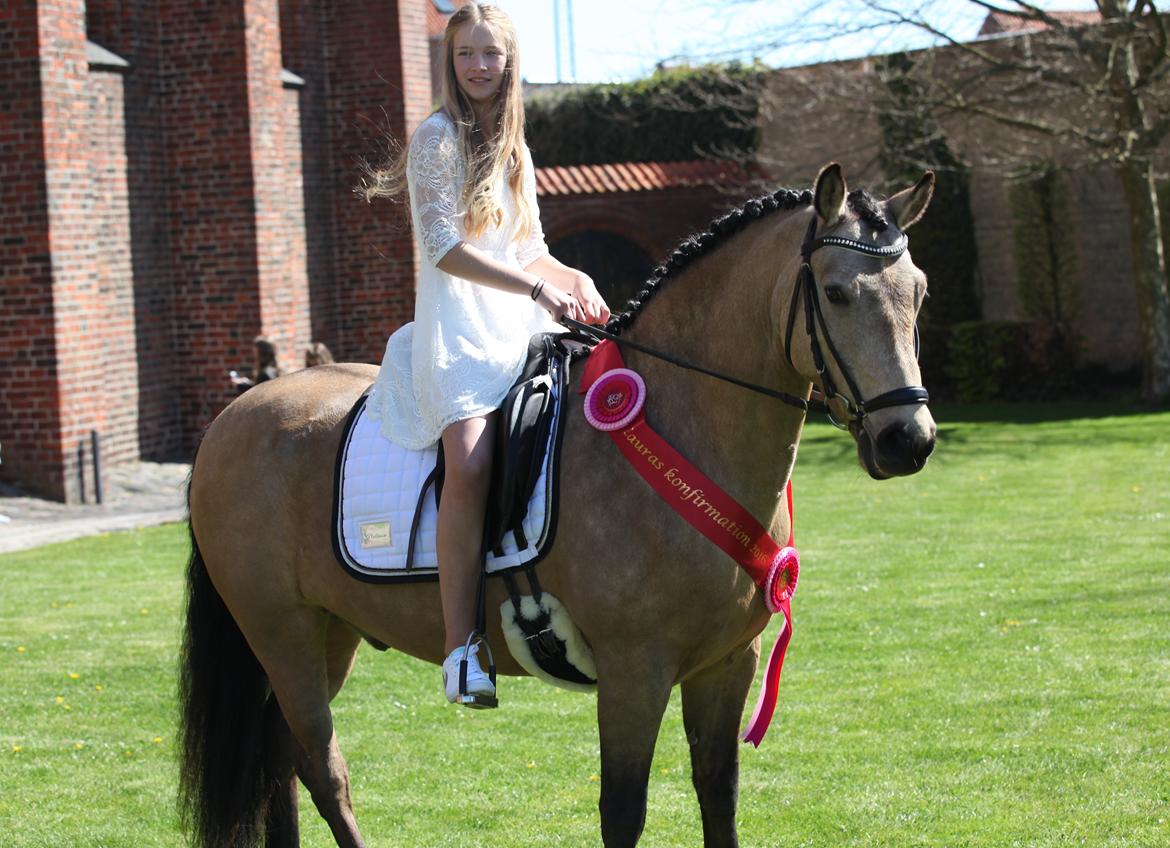 Connemara Skærgårdens Marvelous Night - Lauras konfirmation, maj 2016 billede 5