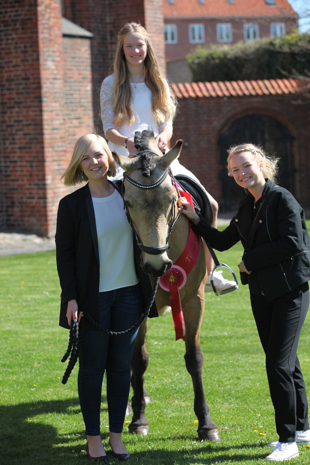 Connemara Skærgårdens Marvelous Night - Lauras konfirmation maj 2016 billede 15