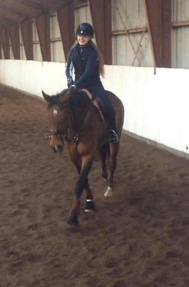 Dansk Varmblod Storbank´s Cantinus - Da jeg prøvede hende billede 8