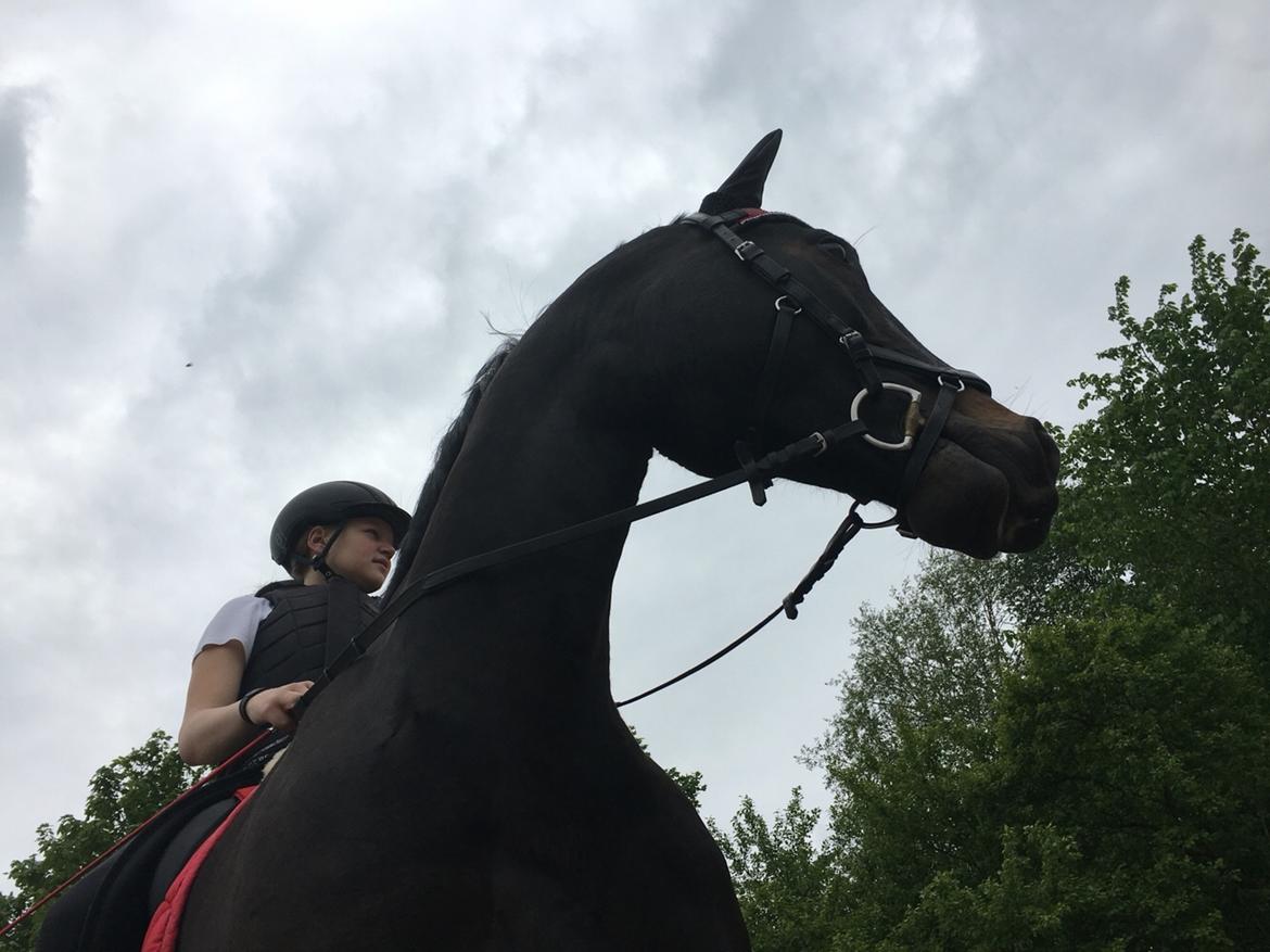 Oldenborg Brandsmarks dina billede 12