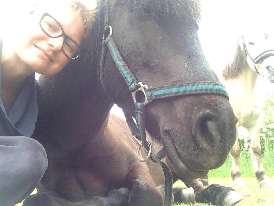 Islænder Flóra - Hvordan kan man andet end elske dette skønne væsen? <3 24.05.16 billede 6