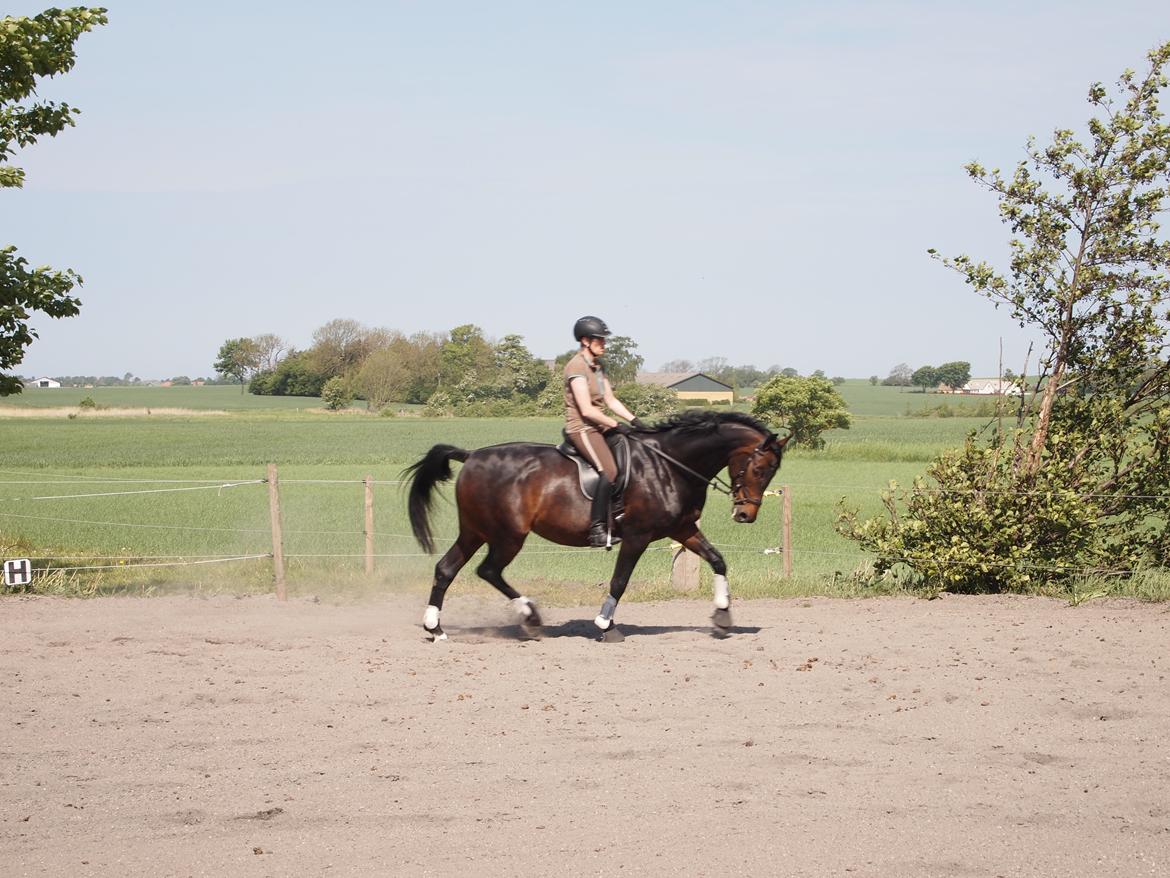 Holstener SÅ LA DA VÆR billede 15