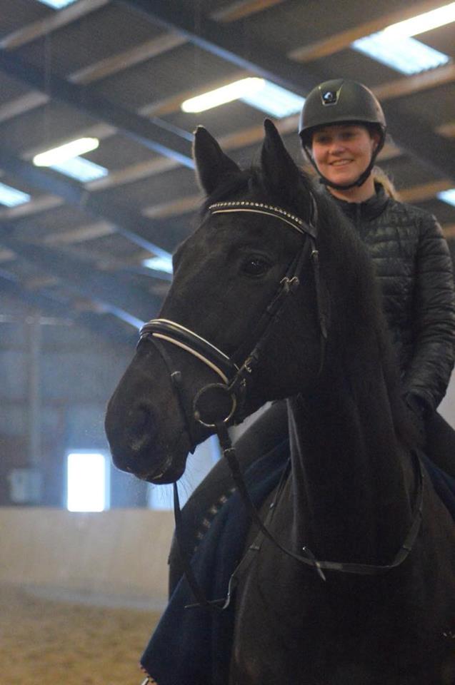 Dansk Varmblod Tanne billede 4