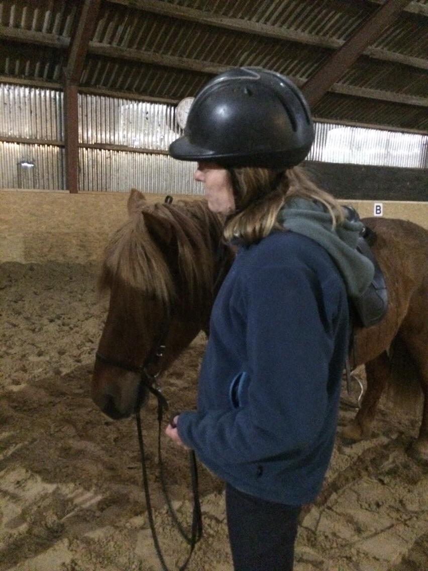 Islænder Feykir fra Øgård (himmelhest) billede 7