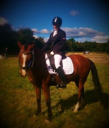 Hollandsk Sportspony supér billede 14