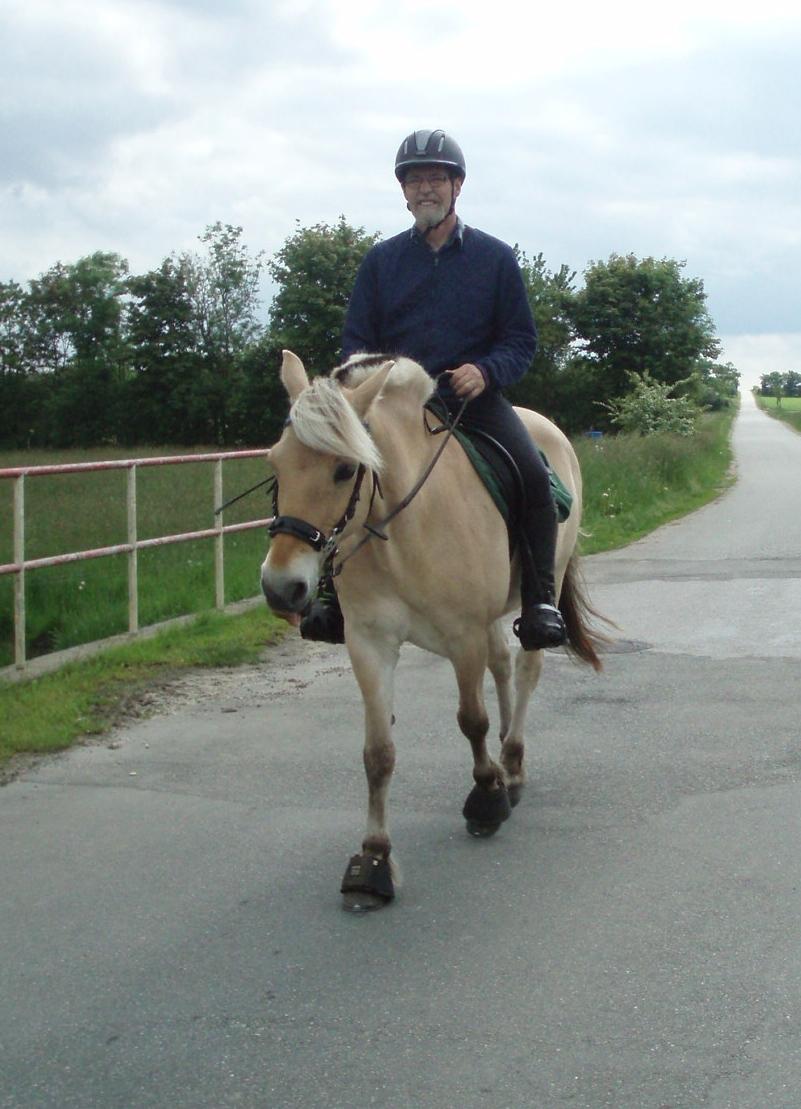 Fjordhest Vrå nikita - Over bro her hjemme omkring 28 Maj 2016 billede 2