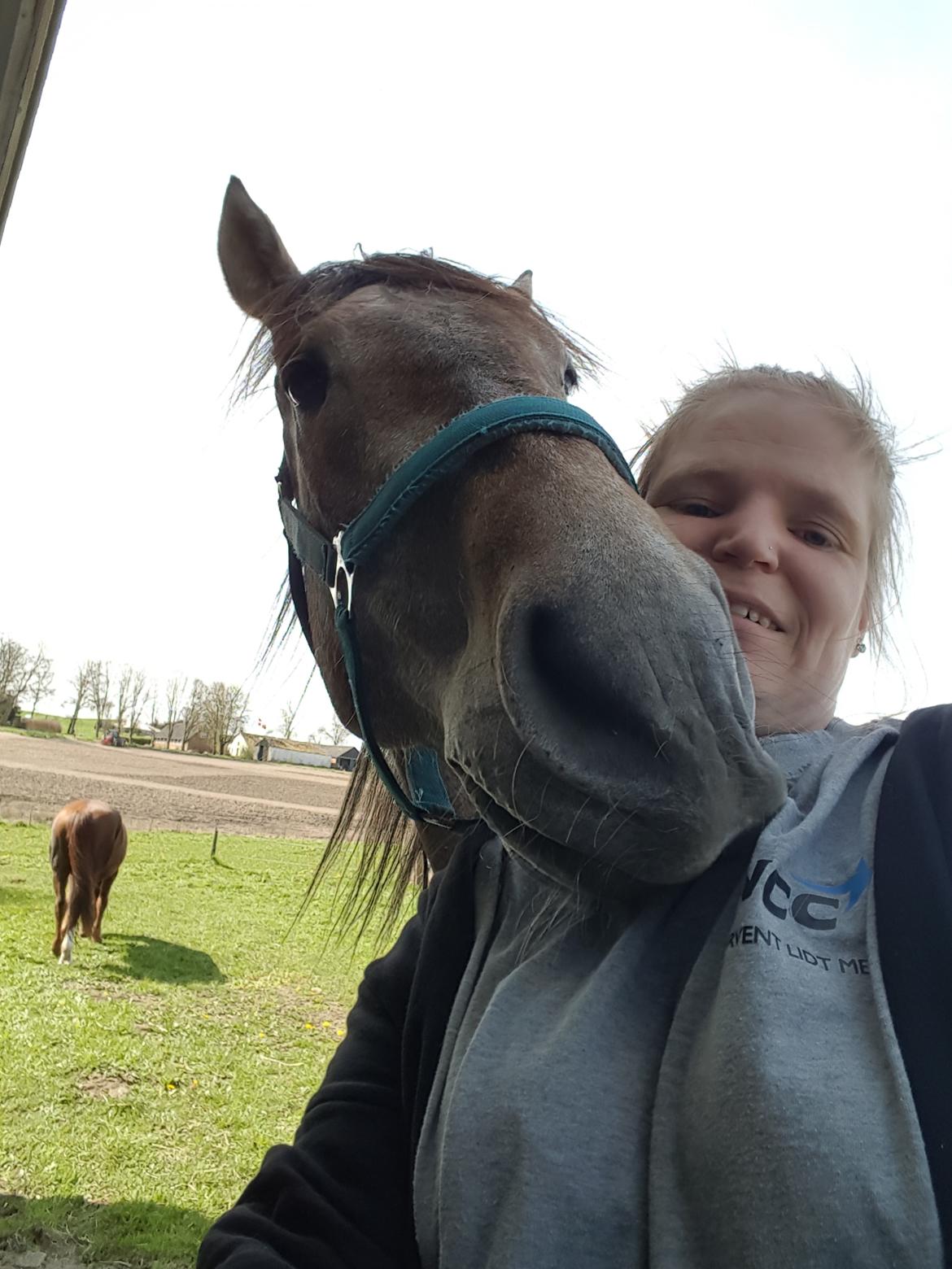 Pura Raza Española Primero  billede 7