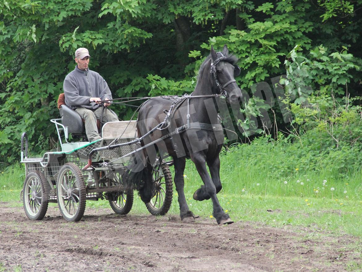 Frieser Miranda M.B. billede 9