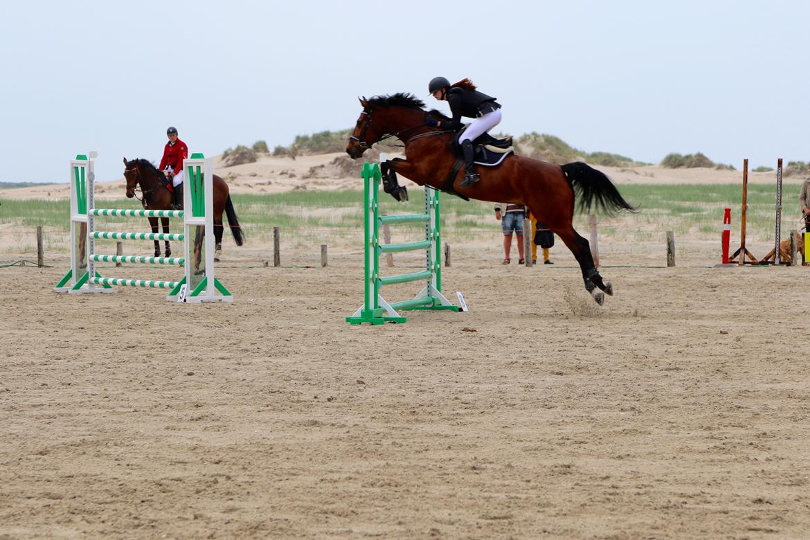 Dansk Varmblod Happy Heart C  - Rømø Beach Jumping 2015 LA 120 cm. billede 7