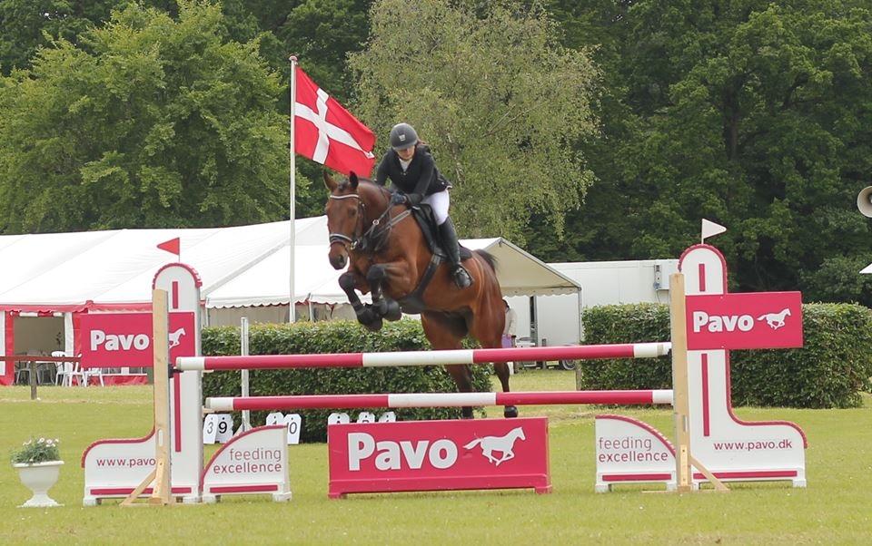 Dansk Varmblod Happy Heart C  - Distriktmesterskab individuel U25 2015 billede 3