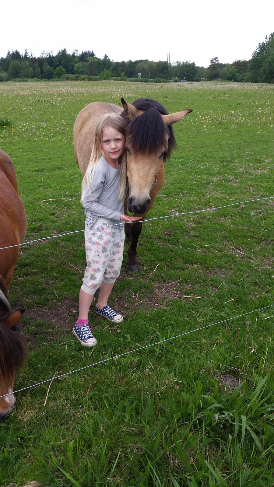 Anden særlig race Vegenå Beautie  solgt billede 7