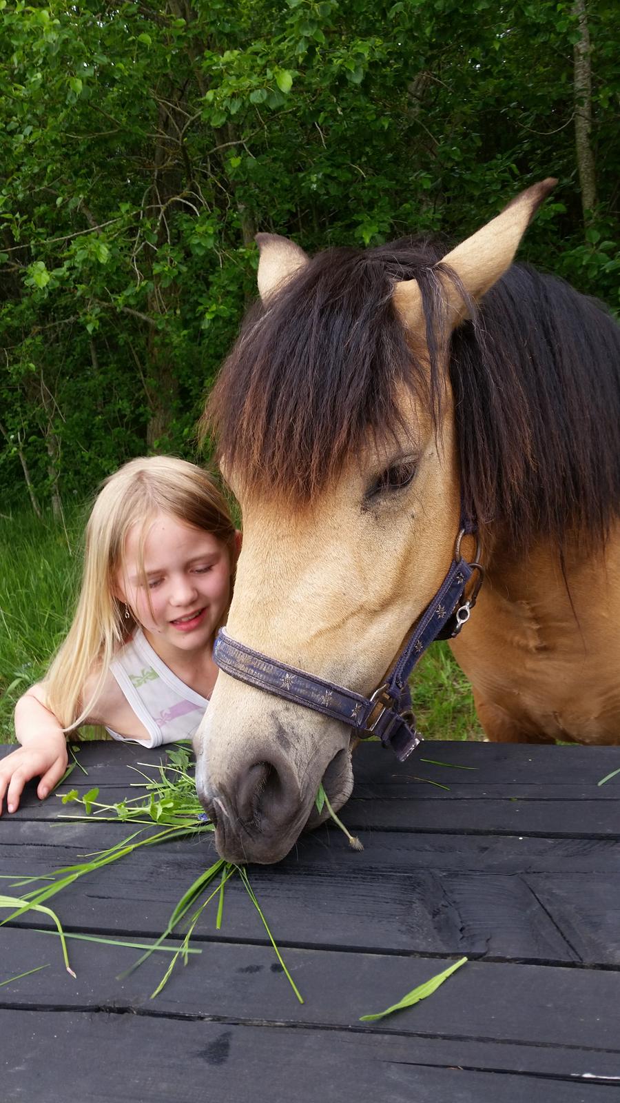 Anden særlig race Vegenå Beautie  solgt billede 11