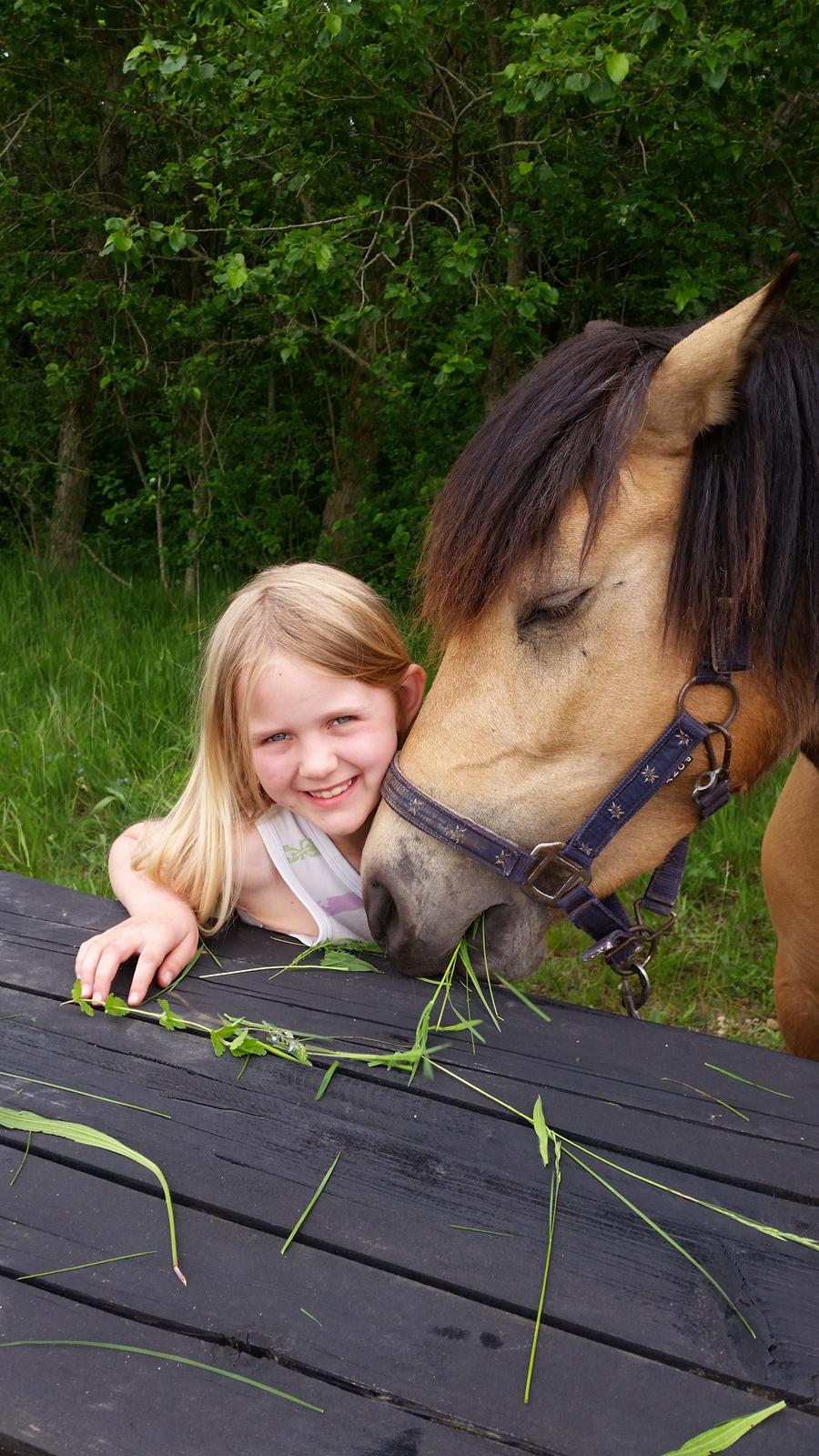 Anden særlig race Vegenå Beautie  solgt billede 12