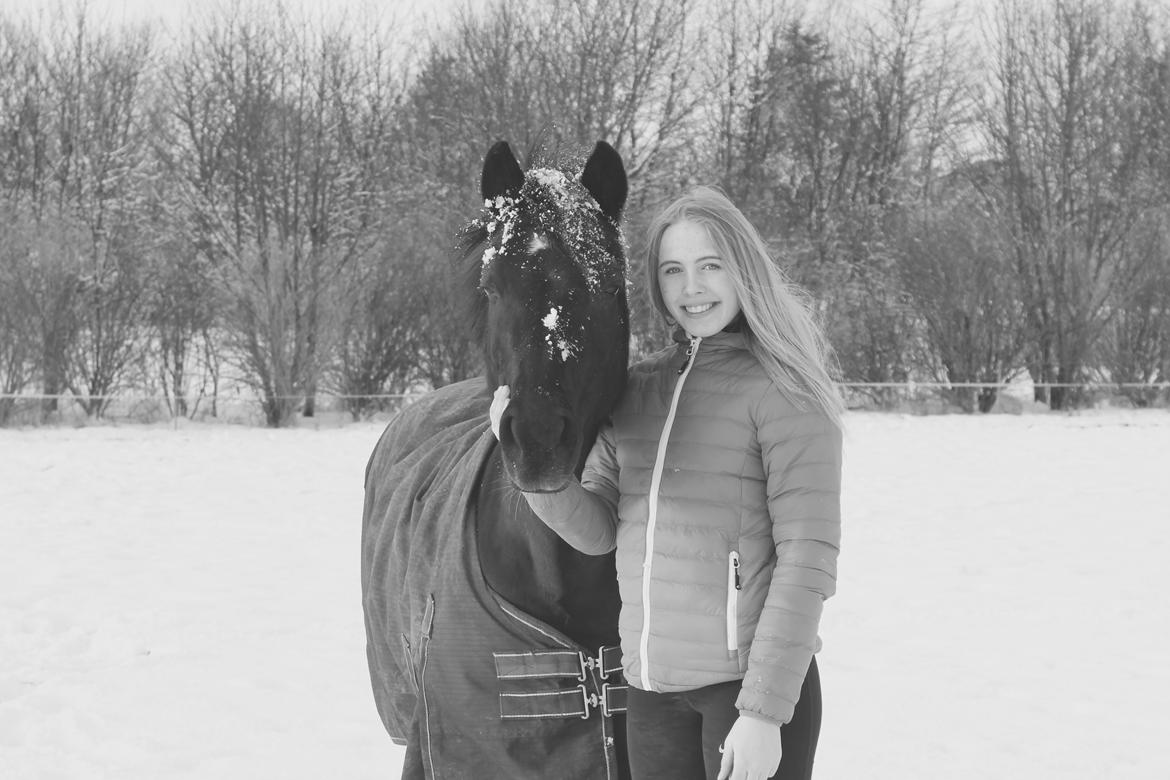 New Forest Lindholms Micky billede 9