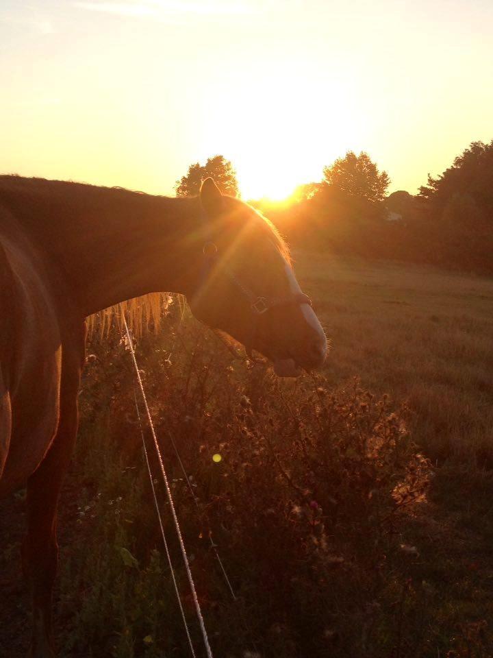 Frederiksborg - Prinsesse Tut (Musse) - Tidsler er en dejlig ting! ♥  - Sommer 2015 billede 9