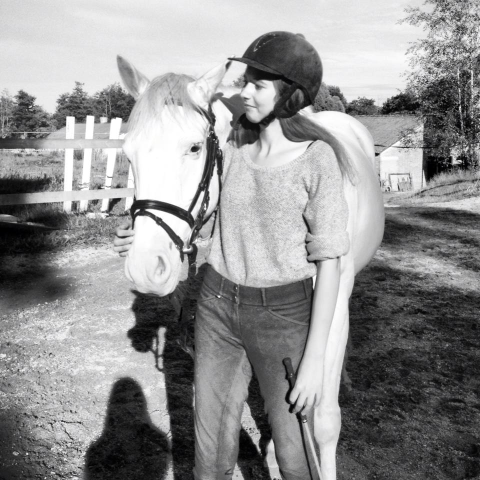 Knabstrupper Kolumbus af Hallundbæk - Jeg hvisker lige et par hemmeligheder til Kolumbus. billede 17