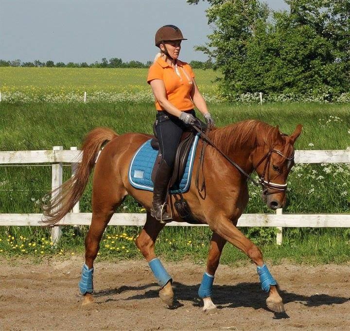 Anden særlig race Sweet Marquis (Tak for 2 fantastiske år) billede 9