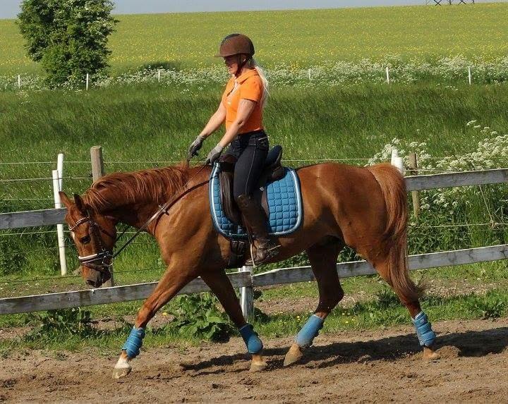 Anden særlig race Sweet Marquis (Tak for 2 fantastiske år) billede 10