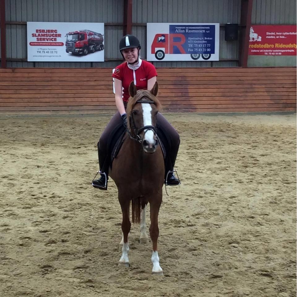 DSP Hindhøjs Tessa - Billede fra da jeg prøvede Tessa billede 1