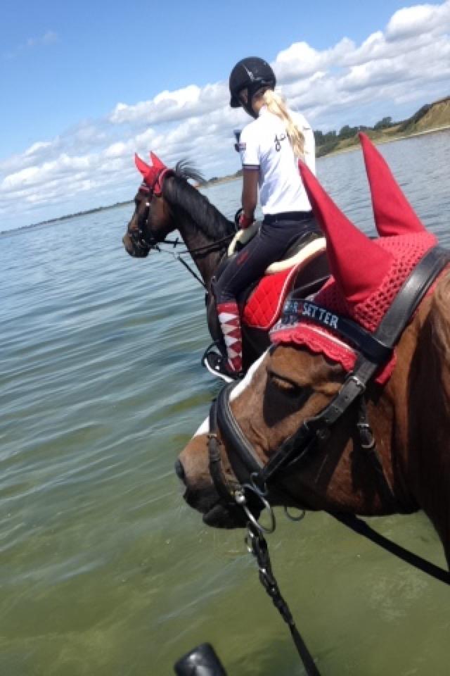 DSP Hindhøjs Tessa - Mig og min veninde Cecilie red Tessa og hendes hest ned til stranden. Tessa syntes det var meget sjovt billede 8