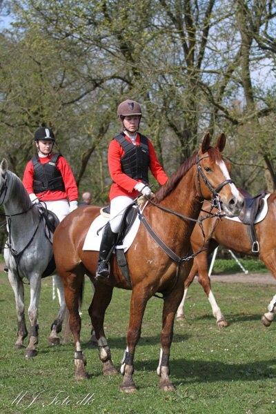 Anden særlig race Flike - Jagt i Værløse, maj 2016 billede 7