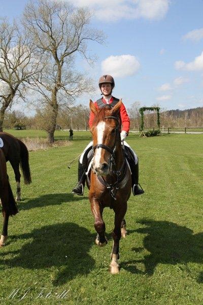 Anden særlig race Flike - Jagt i Værløse, maj 2016 billede 9