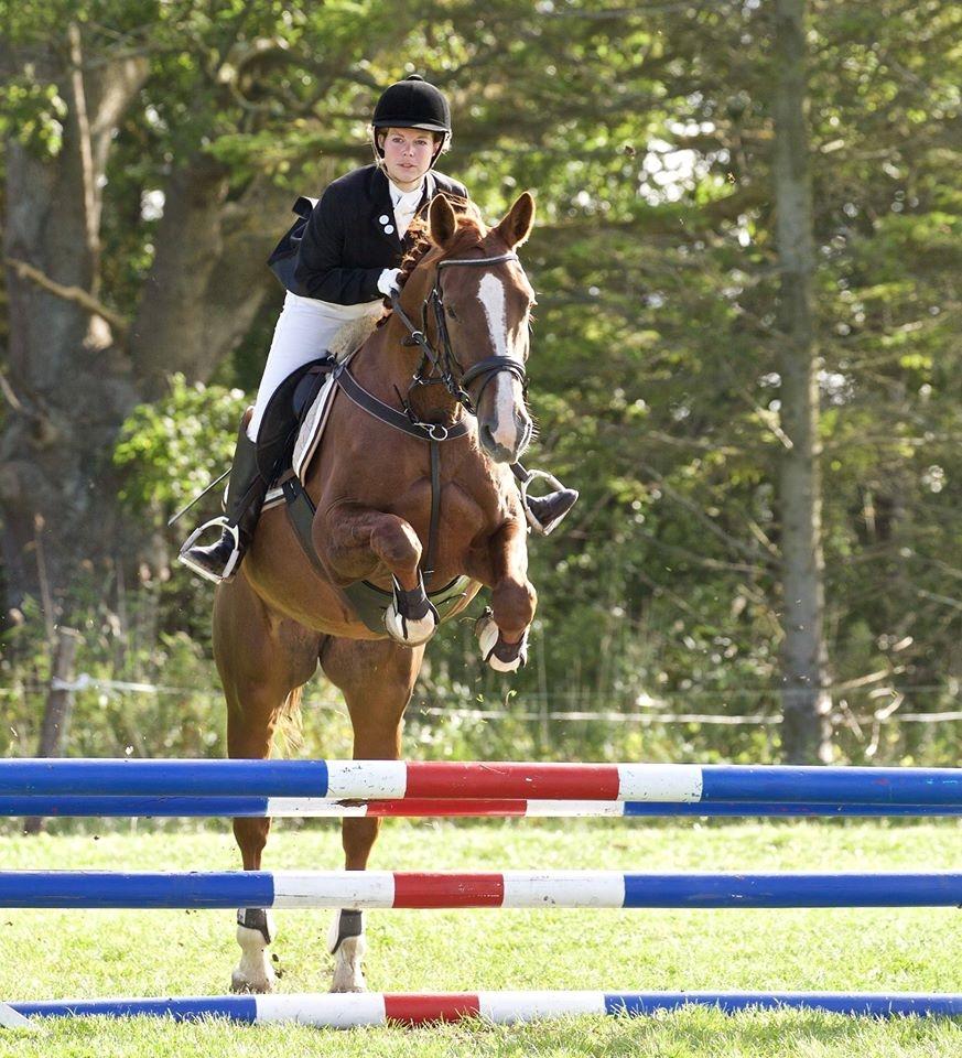 Anden særlig race Flike - Stævne på Søborggård, september 2015 billede 2