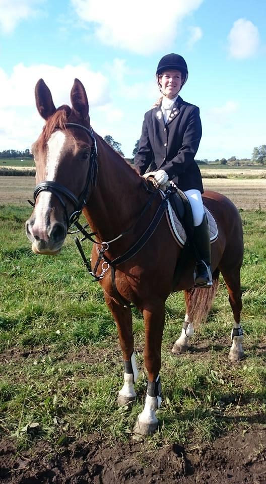 Anden særlig race Flike - Stævne på Søborgård, september 2015 billede 5