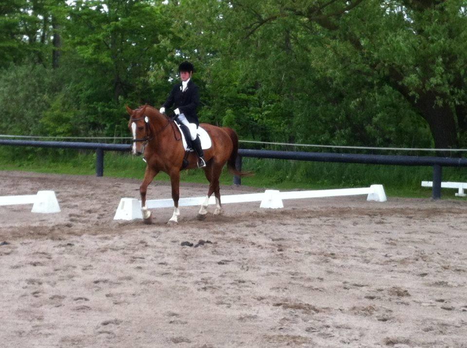 Anden særlig race Flike - Stævne på Søborggård, maj 2016 billede 12