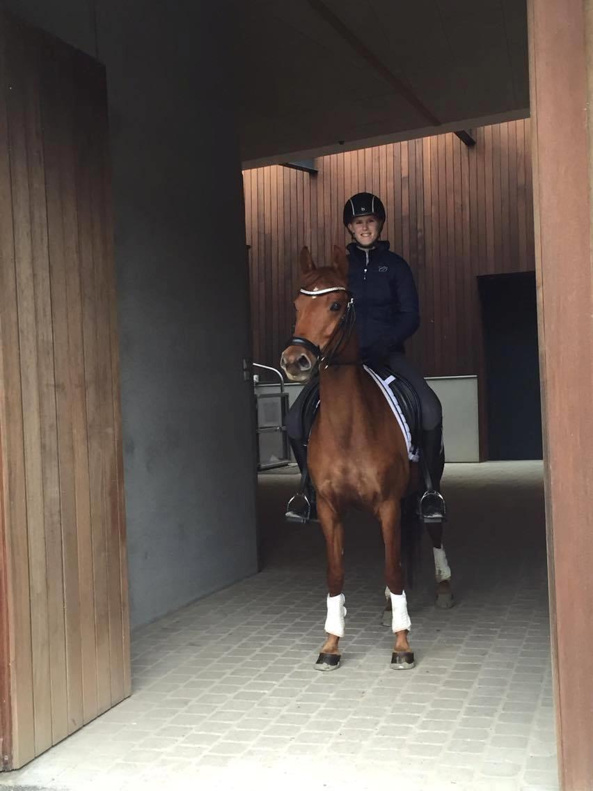 DSP Lykkesholms catla - Kasprzak dressage - 26/05-16 billede 1