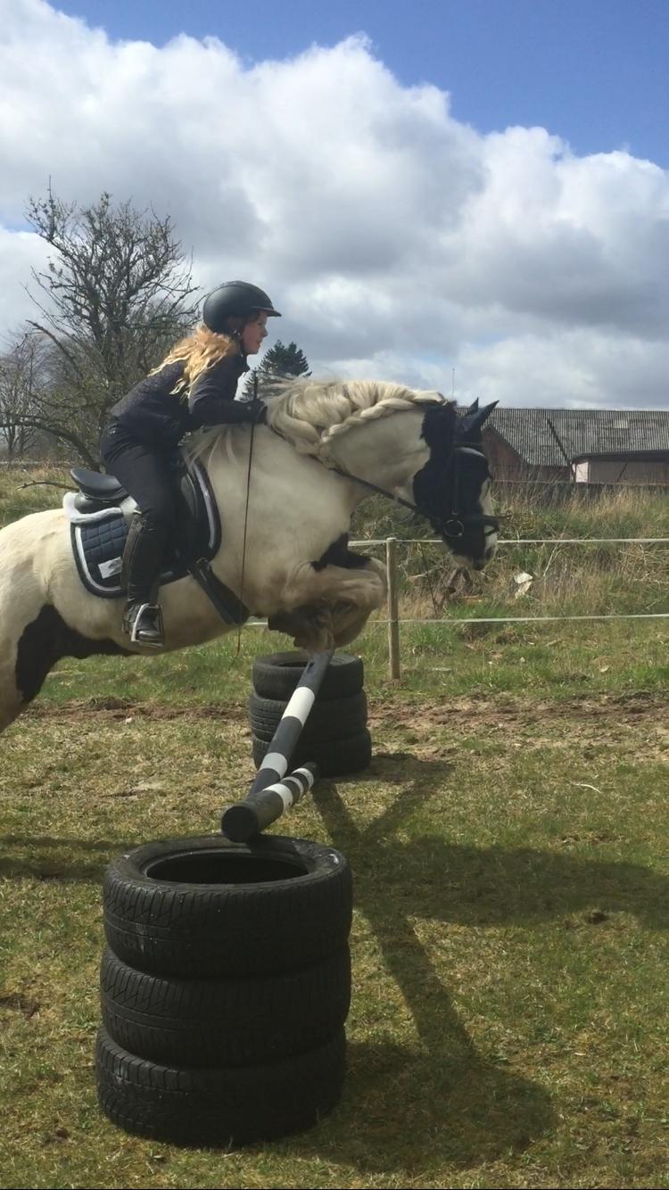 Tinker Sir Archibald af Østerbygaard billede 16