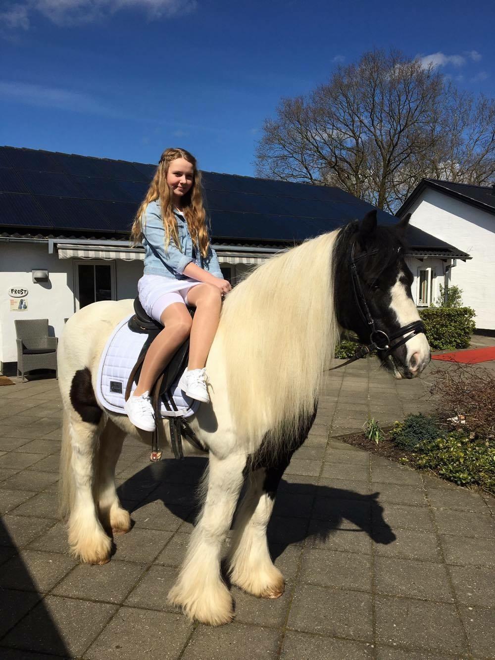 Tinker Sir Archibald af Østerbygaard - Archibald kom og hentede mig til min Konfirmation 01-05-2016 billede 7