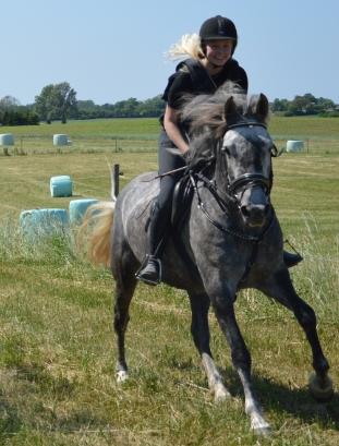 Anden særlig race Antares billede 18