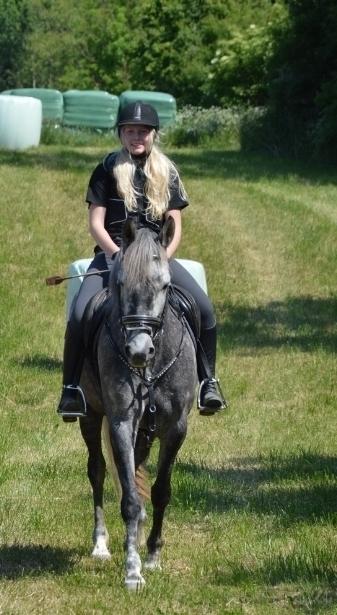 Anden særlig race Antares billede 15